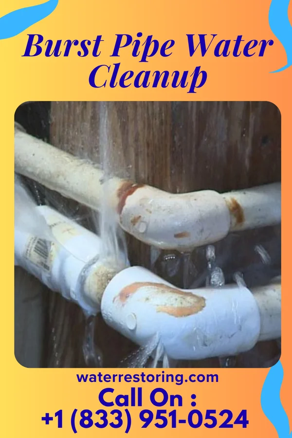 Burst Pipe Water Cleanup in McIntosh, NM