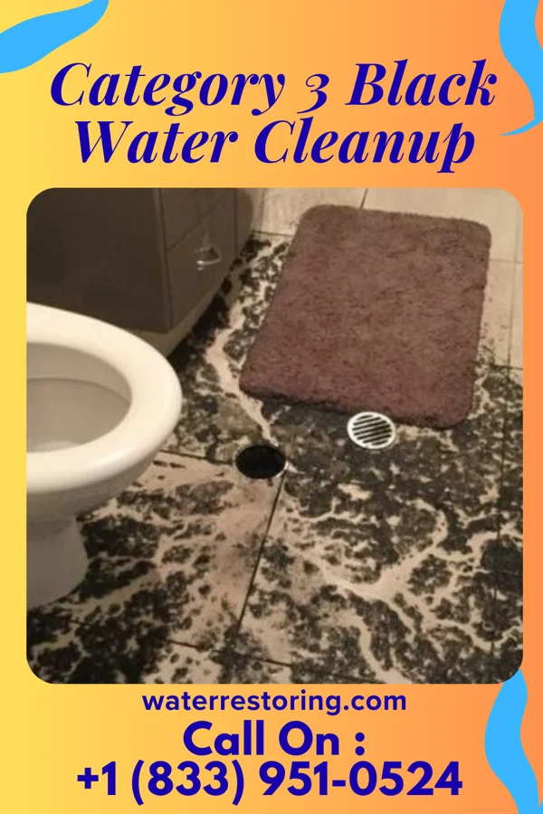 Category 3 Black Water Cleanup in McIntosh, NM