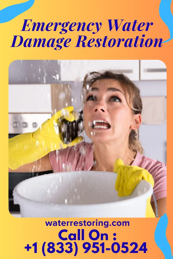 Emergency Water Damage Restoration in McIntosh, NM