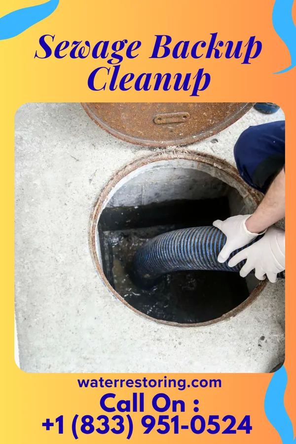 Sewage Backup Cleanup in McIntosh, NM